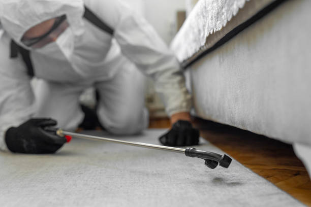 Professional Cockroach Control technician working in Jefferson County County, IA
